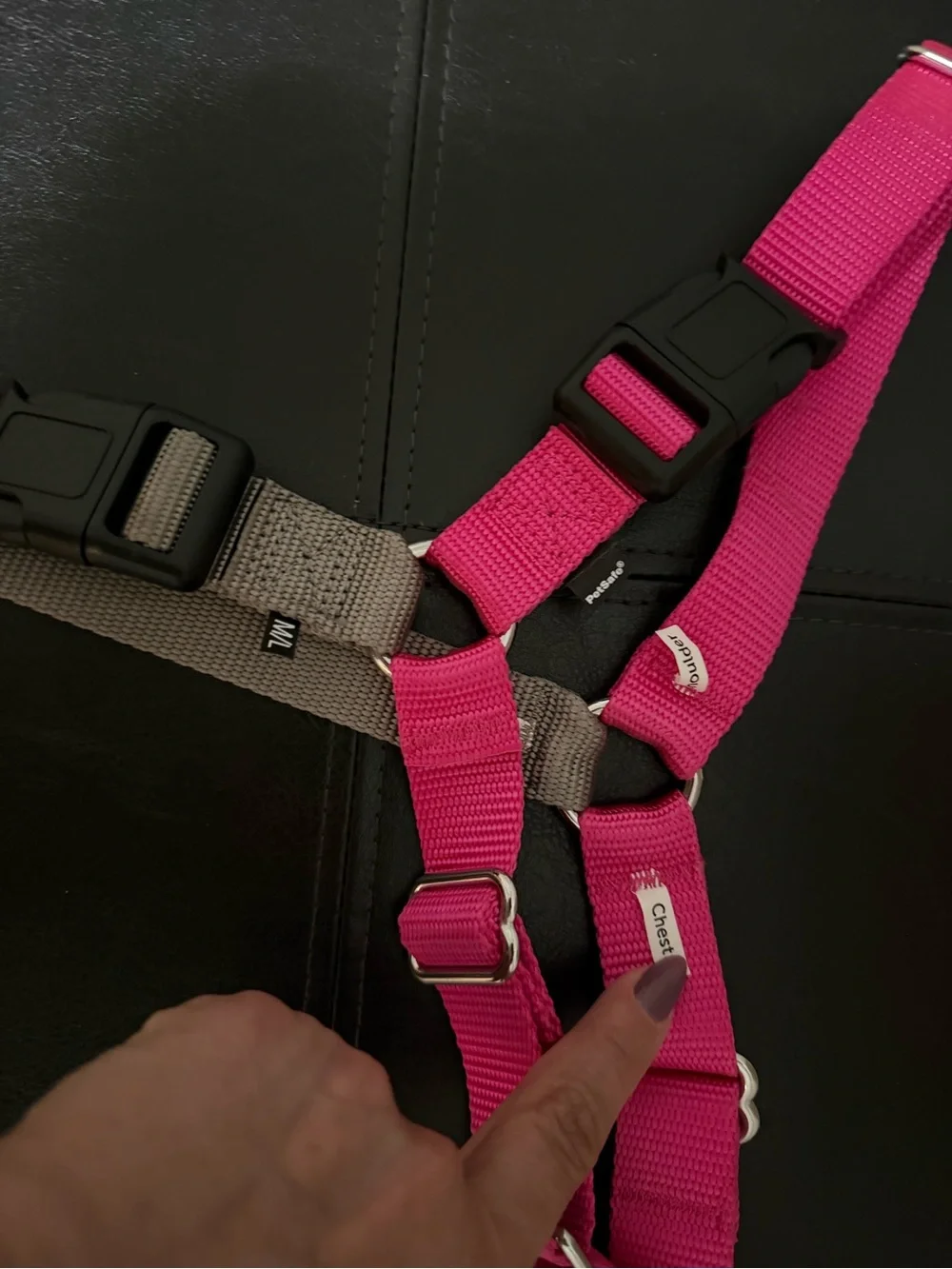 PetSafe Easy Walk Dog Harness, Raspberry/Gray, Medium/Large